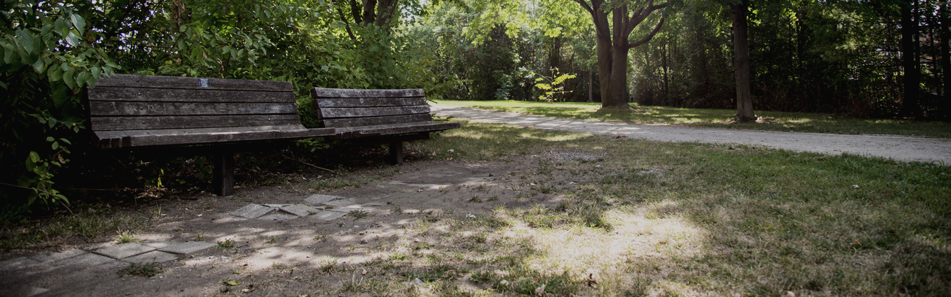 Parkway Trail Tourism Windsor Essex Pelee Island