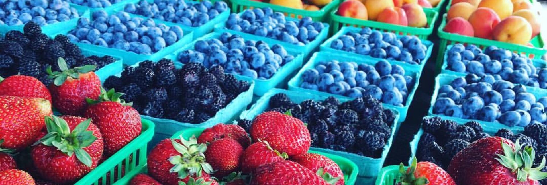 Aziz Fruit Stand Tourism Windsor Essex Pelee Island