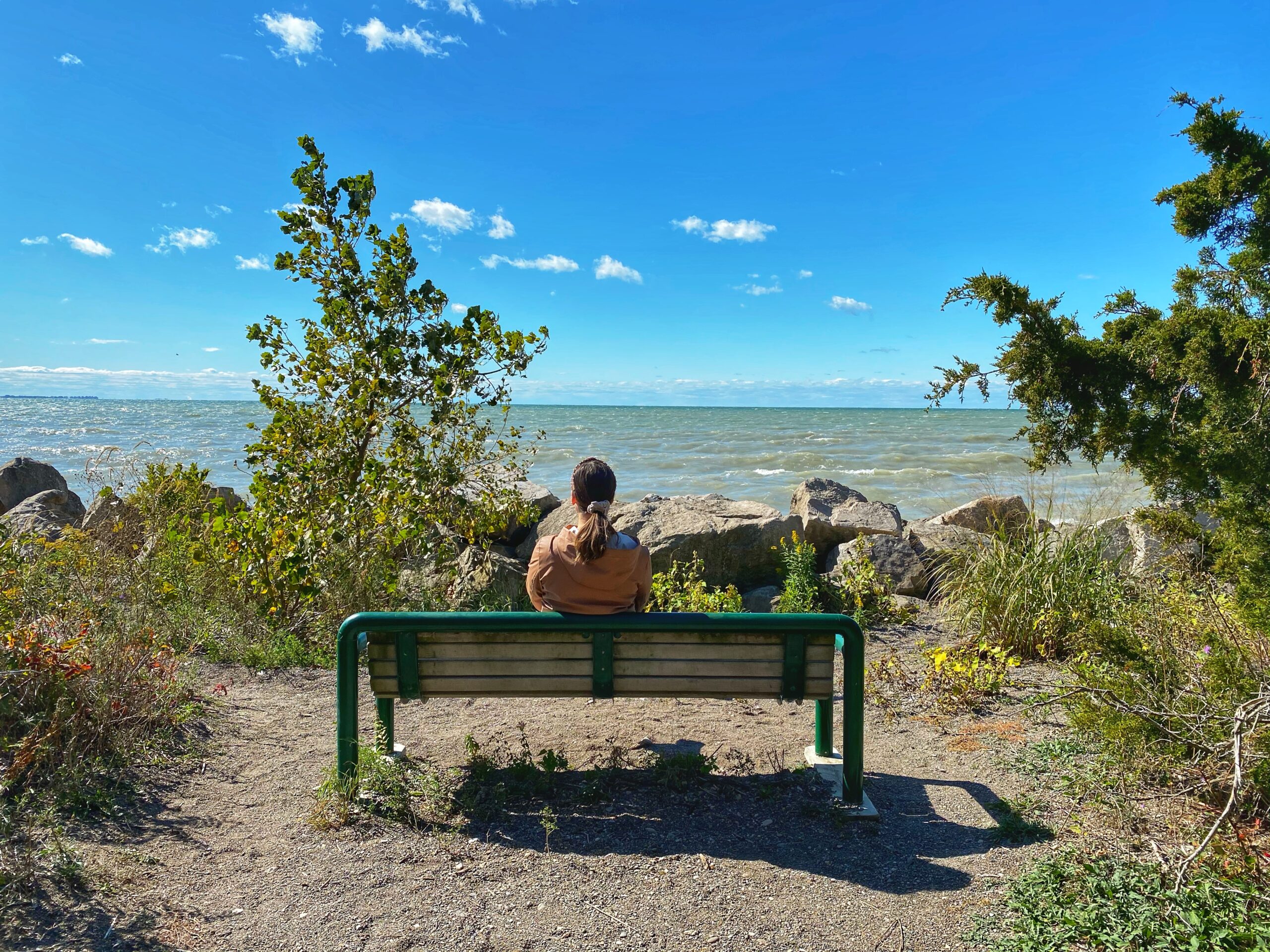 point pelee winery tours