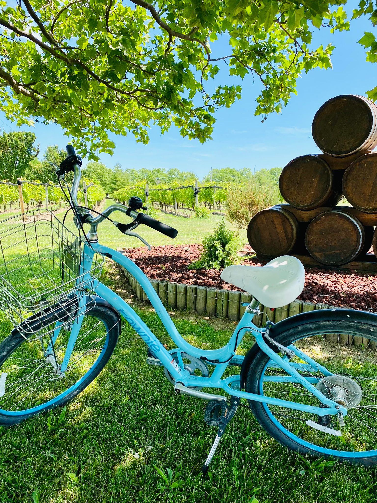 winery tours kingsville