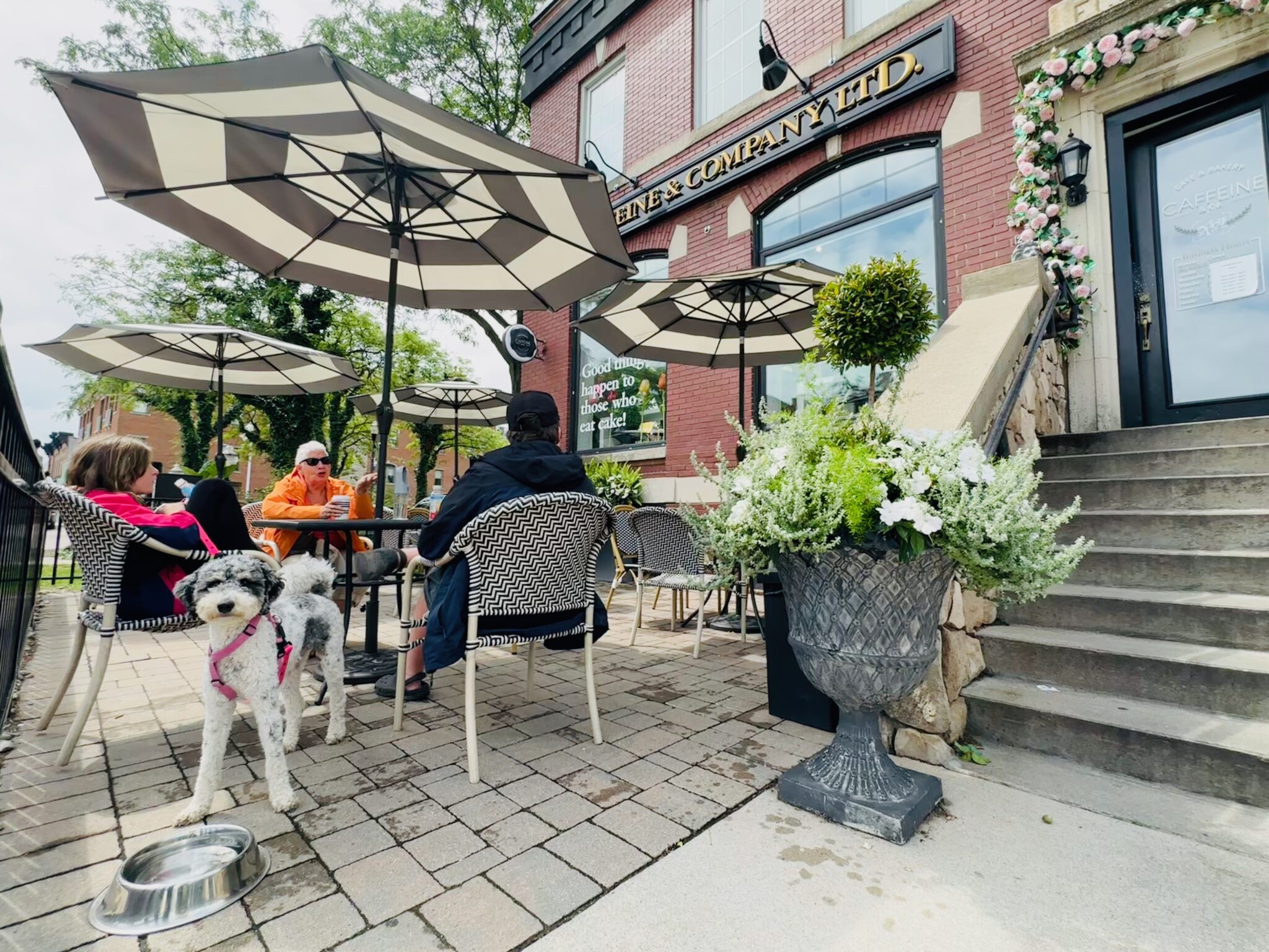 8 DogFriendly Things To Do In Windsor & Beyond Tourism Windsor Essex